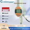 Battery-Powered Precision Digital Pressure Gauge for Negative, Compressed Air, and Oil Pressure