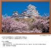 Yanoman in Jigsaw Japanese Thousand Cherry Blossoms and Himeji Castle Includes a piece request a a service and a jigsaw puzzle instruction (Yanoman)