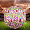 Care Bears Print Size 5 Soccer Ball, Standard Match Football for Sports Game and Team Practice, Ideal Gift for Soccer Fans