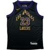 NBA Los Angeles Lakers James Fashion Comfortable Soft Skin-Friendly Youth Vest Kids Tops 3Z2B7BU8P23-LAK23