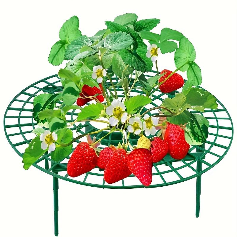 5/10pcs Green Strawberry Planting Rack with 3 Sturdy Stands Versatile Plant for Berries and Small Plants Plant Stand