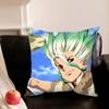 D-Dr S-Stone A-Anime Pillowcase For Sofa Room Office Decor Printing Protector Cushion Cover Valentine Gift Custom