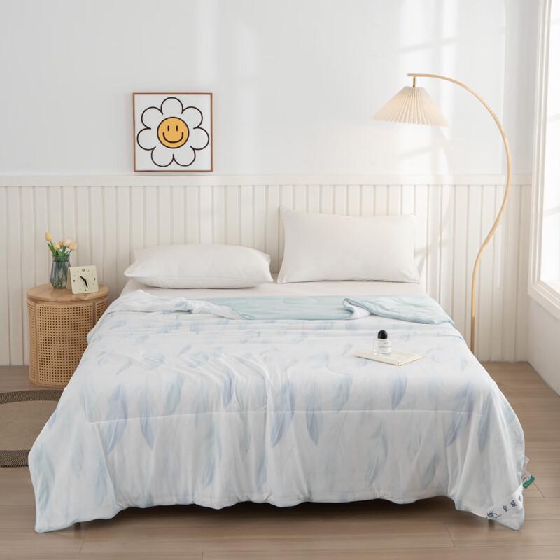 

Huangqin Shijia Silky Cool Summer Quilt