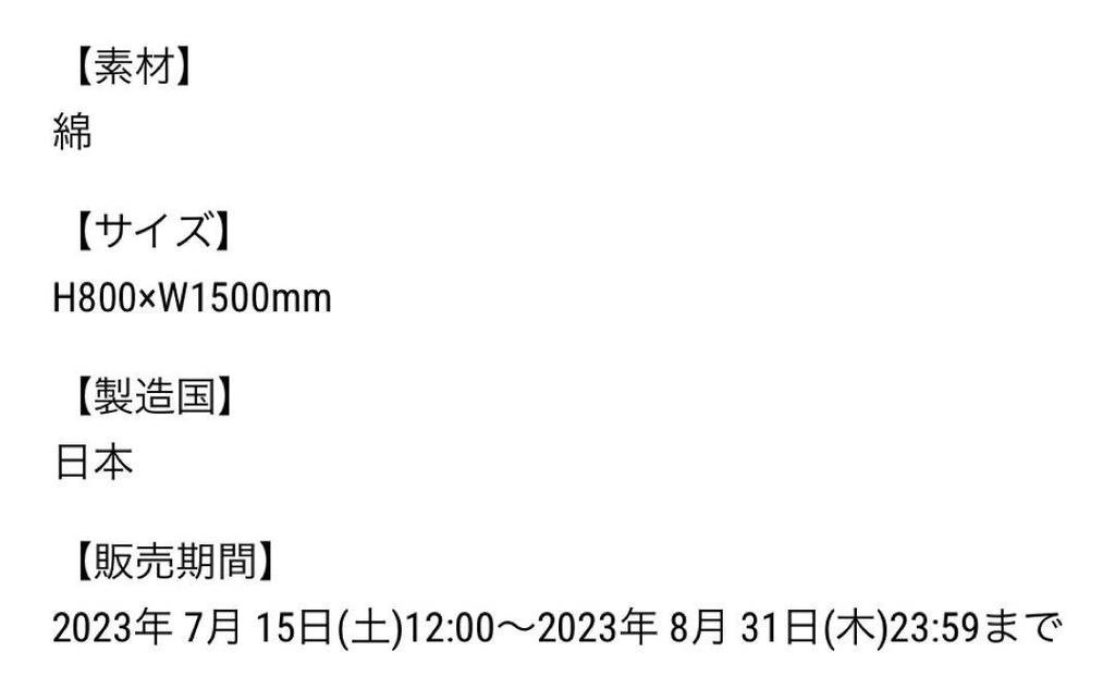 [USED] Stray Kids Beach Towel JYP JAPAN POPUP