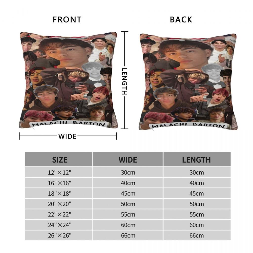 Home Decorations Malachi Barton Pillowcase Accessories Pillow Cover Zippered Multi Size