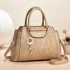 Bucket bag 2025 new autumn and winter women's bag high-end shoulder messenger bag versatile large-capacity handbag bag women