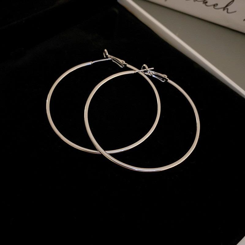 Silver Needle Autumn and Winter Metal Earrings Earrings Niche Fashion Cold Wind Earrings Versatile Light Luxury Premium Earrings
