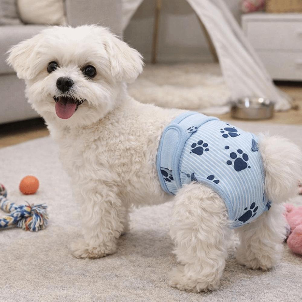 Washable Pet Sanitary Pants Breathable Pet Physiological Pants Pet Menstrual Panties Puppy Hygiene