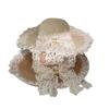Ins Idyllic New Children's Sun Hat Sweet Lace Bow Sun Hat Big Brim Sun Protection Straw Hat