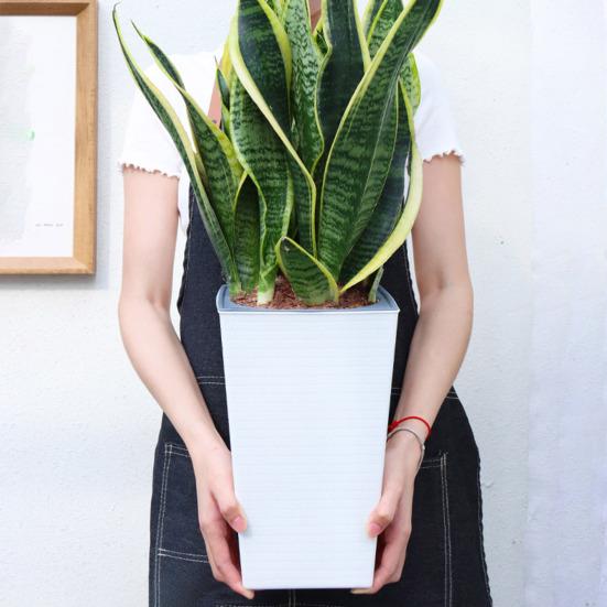 Self-Watering Plant Pot with Drainage Holes Automatic Watering Flowerpot Water Storage Planter for Indoor Outdoor Plants