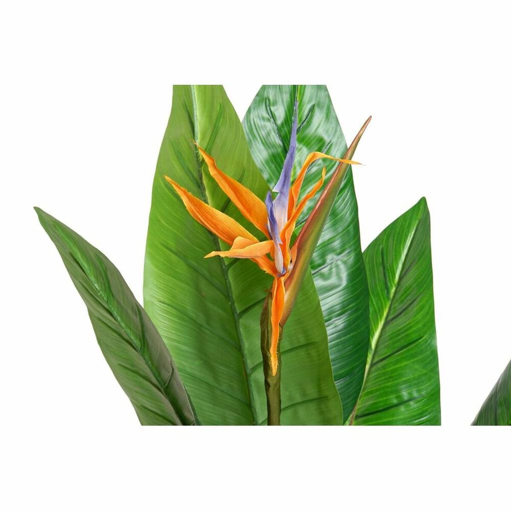 Decorative Plant DKD Home Decor PVC Plastic 100 X 100 X 145 Cm