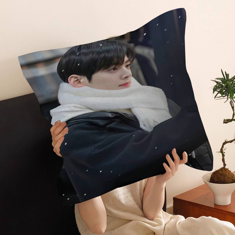Singer C-Cha EunWooS Cushion Cover Decorative Pillow Sofa Home Decor Case Pillow Cases
