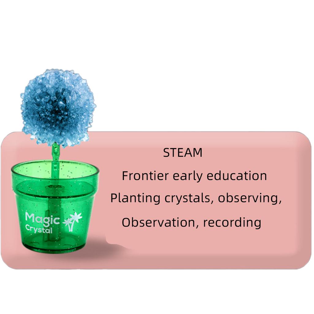 Science Experiment Crystal Planting Diy Creative Flower Shaped Crystal Tree Fun Parent-Child Experiment Set