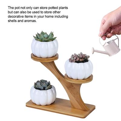 Moderno vaso de cerâmica para plantas, pires de bambu, suporte para decoração de escritório doméstico