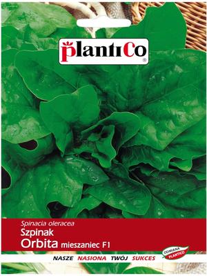 Spinach Orbita Hybrid F1 10g Vegetable Seeds for the Garden