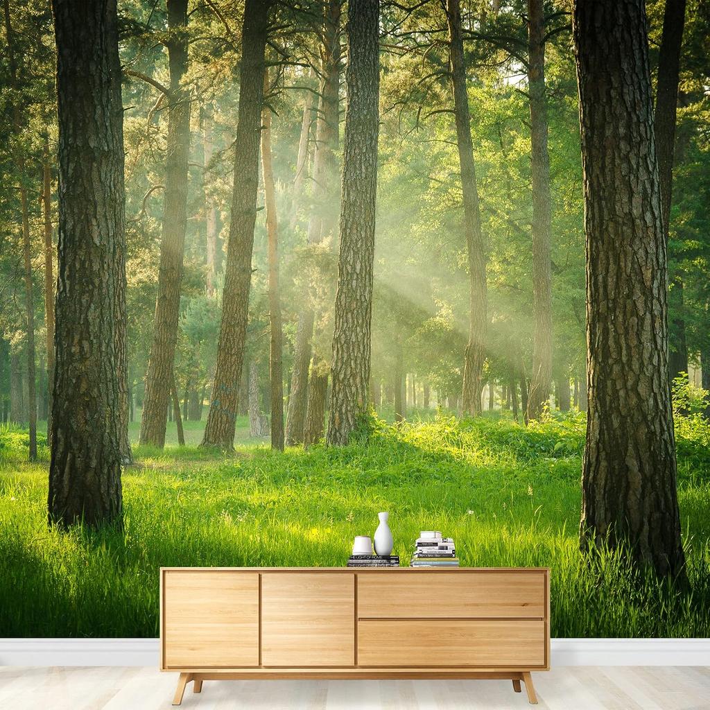 Forest Landscape Wallpaper Living Room Bedroom Natural Scenery Forest Mural