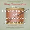 The Inheritance of Solomon Farthing by Mary PaulsonEllis Paperback Book 9781447293965