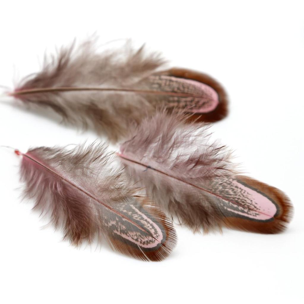 50Pcs 4-8cm Rare Precious DIY Wedding Party Decorative Multi-colour Pheasant Plume Feather Natural Feathers for Home Decoration