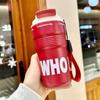 Double drinking cup Stainless steel straw thermos cup Women's portable cup Gift cup High value coffee cup