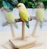 Parrot Rocking Stand Bird Toy Prickly Ash Wood Interactive Spinning Perch for Small To Medium Parrots