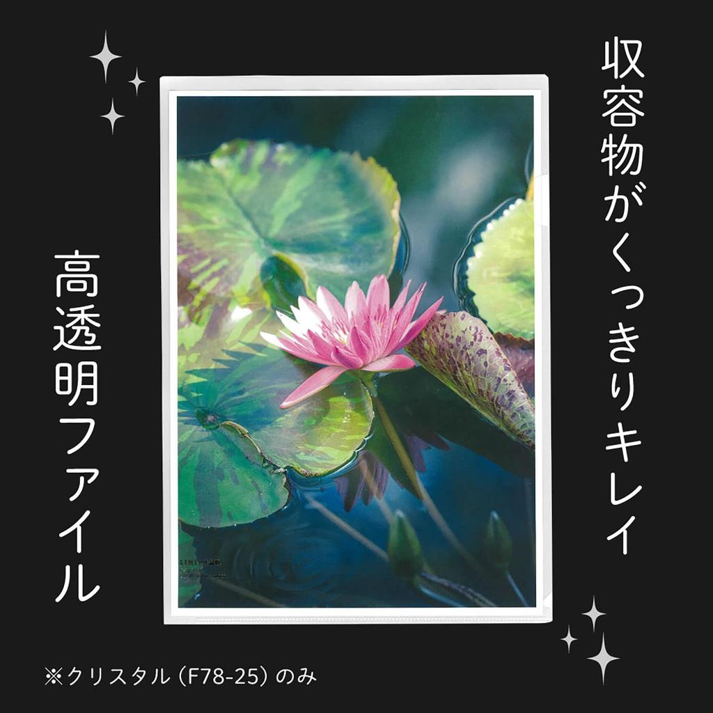 LIHIT LAB Clear Holders, 50 Sheets, A4, Crystal, F78-25_50