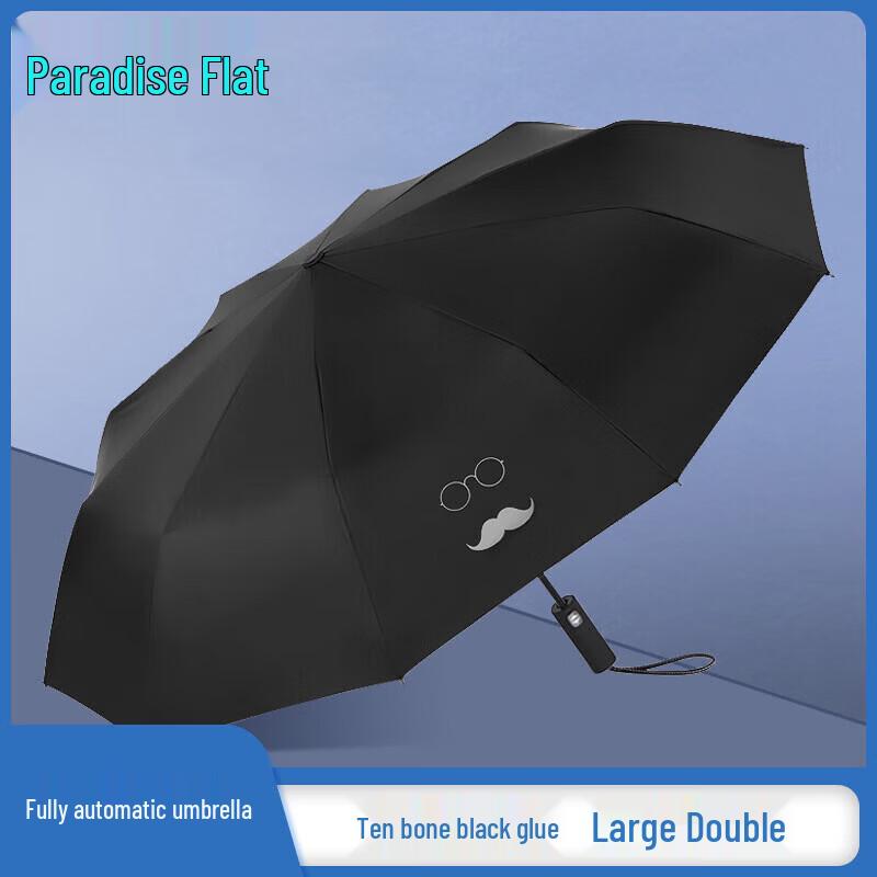 Heavenly Umbrella Fully Automatic 10-Rib Sun/Rain Umbrella