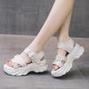Fashion 2025 Sexy Open-toed Women Sport Sandals Wedge Hollow Out Ladies Sandals Outdoor Cool Platform Shoes Student Beach Summer Shoes