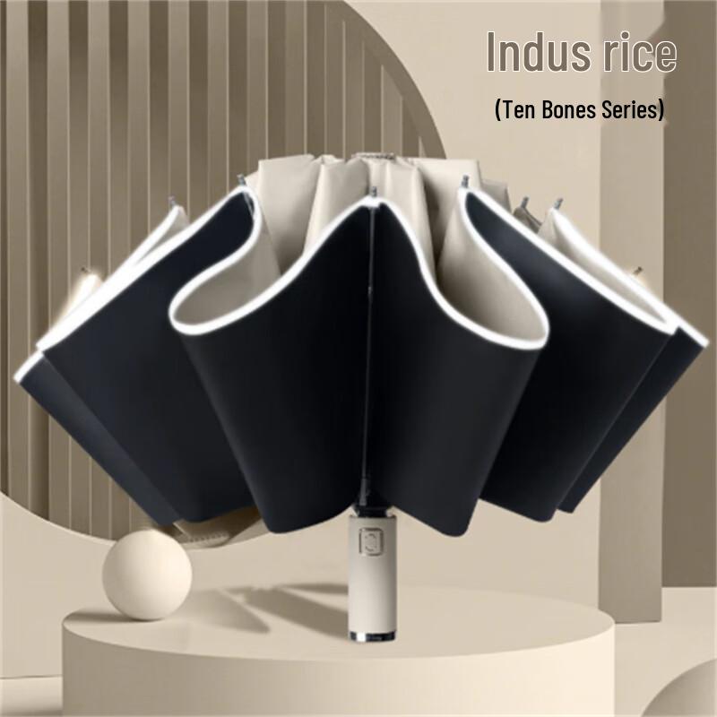 Fully Automatic Reverse Folding Rain/Sun Umbrella