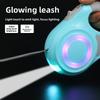 Pet Leash With Light Auto Extending For Small Dogs And Pets
