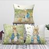 Cute Kawali Peter R-Rabbit Cushion Cover For Pillow Printing Sofa Decoration Home Car Room Coffee Shop Office Nordic Simplicity