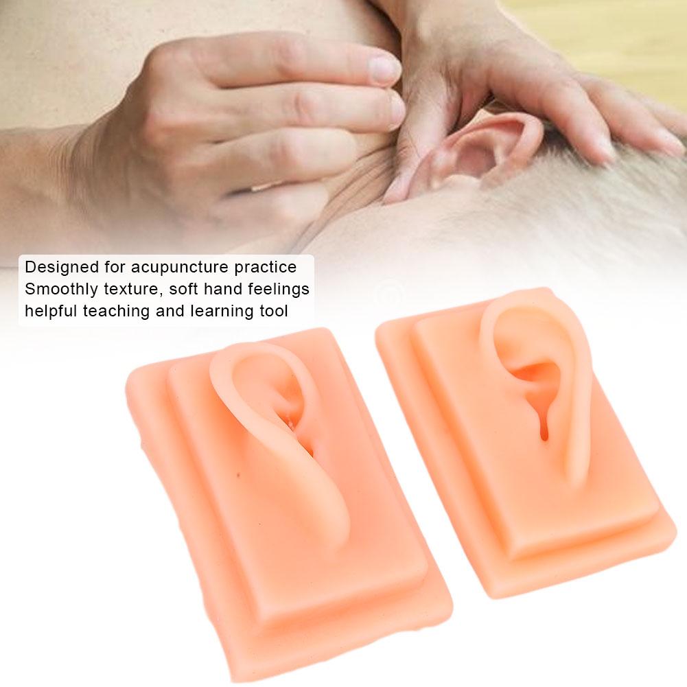 Silicone Ear Model Acupuncture Practice Human Soft Teaching Left Right Ear Model