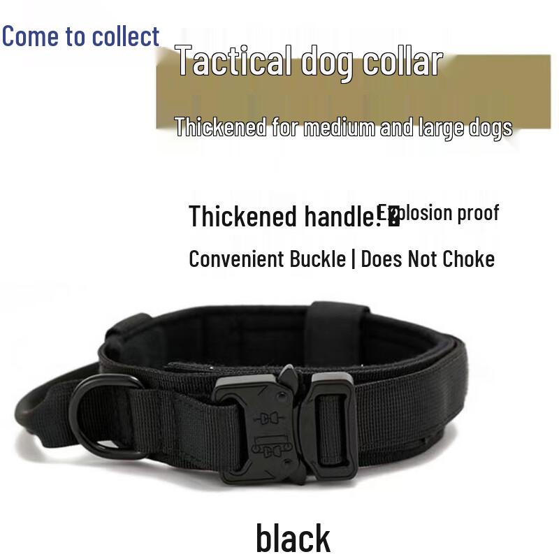 Tactical Training Dog Collar L