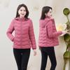 Women's 2025 Slim-Fit Petite Cotton-Padded Coat – Short, Lightweight, Warm Winter Outerwear