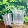Clear Orchid Flower Pot - High Transparency, Thickened, Breathable for Dendrobium, Succulents, Roses, Phalaenopsis