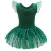 Girls Dance Leotards for Ballet Dress Shiny Tutu Skirted Leotard Gymnastics Bodysuit Ballet Wear Stage Performance Costume