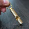 Brass Whistle Pet Bird Behavior Training Tool for Dog Pigeon Parrot Dove