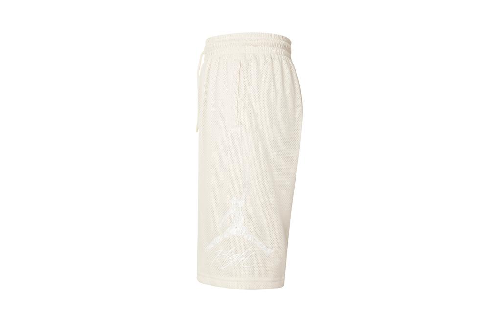 Jordan Pantaloncini Casual Uomo Marrone HJ2142-222