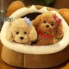 Cute Teddy Dog Sleeping Plush Toy - Children's Companion Doll