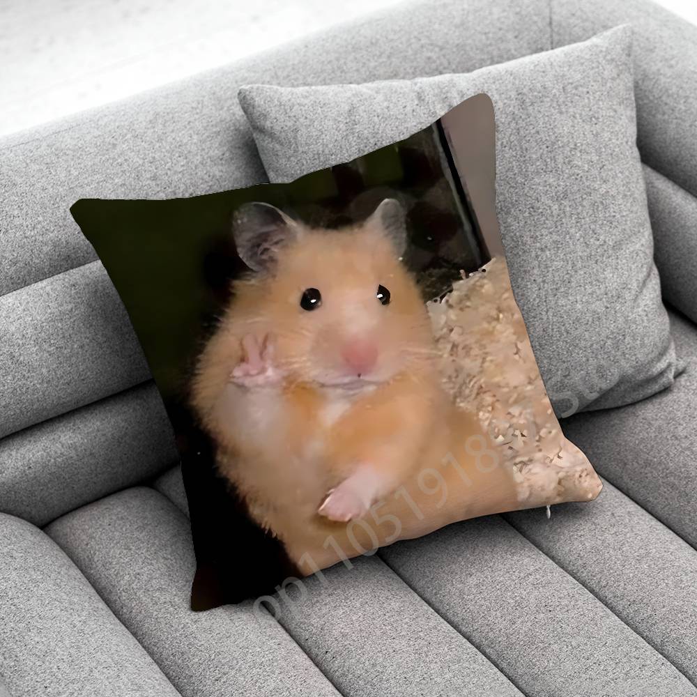 Funny Sad Hamster Meme Throw Pillow Case For Square Bedroom Pillowcase Cover