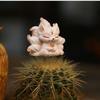 Resin Little Statue Creative Garden Miniatures Figurine Succulent Decoration Animal Sculpture  Lawn