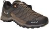 Hiking Shoes Salewa Mountain Trainer Lite GTX (61361) Wallnut/fluo Orange