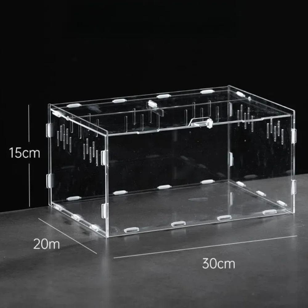 Anti-Escape Reptile Habitat Clear Spider Feeding Case Durable Lizard Breeding Box  for Chameleon