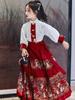 Frühlings-Hanfu-Rock-Set 2026 für Mädchen - Traditionelles chinesisches Kostüm
