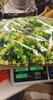 50cm Artificial Wildflower Wreath Handmade Colorful Spring Summer Floral Garland Background Wall Window Front Door Wedding Decor