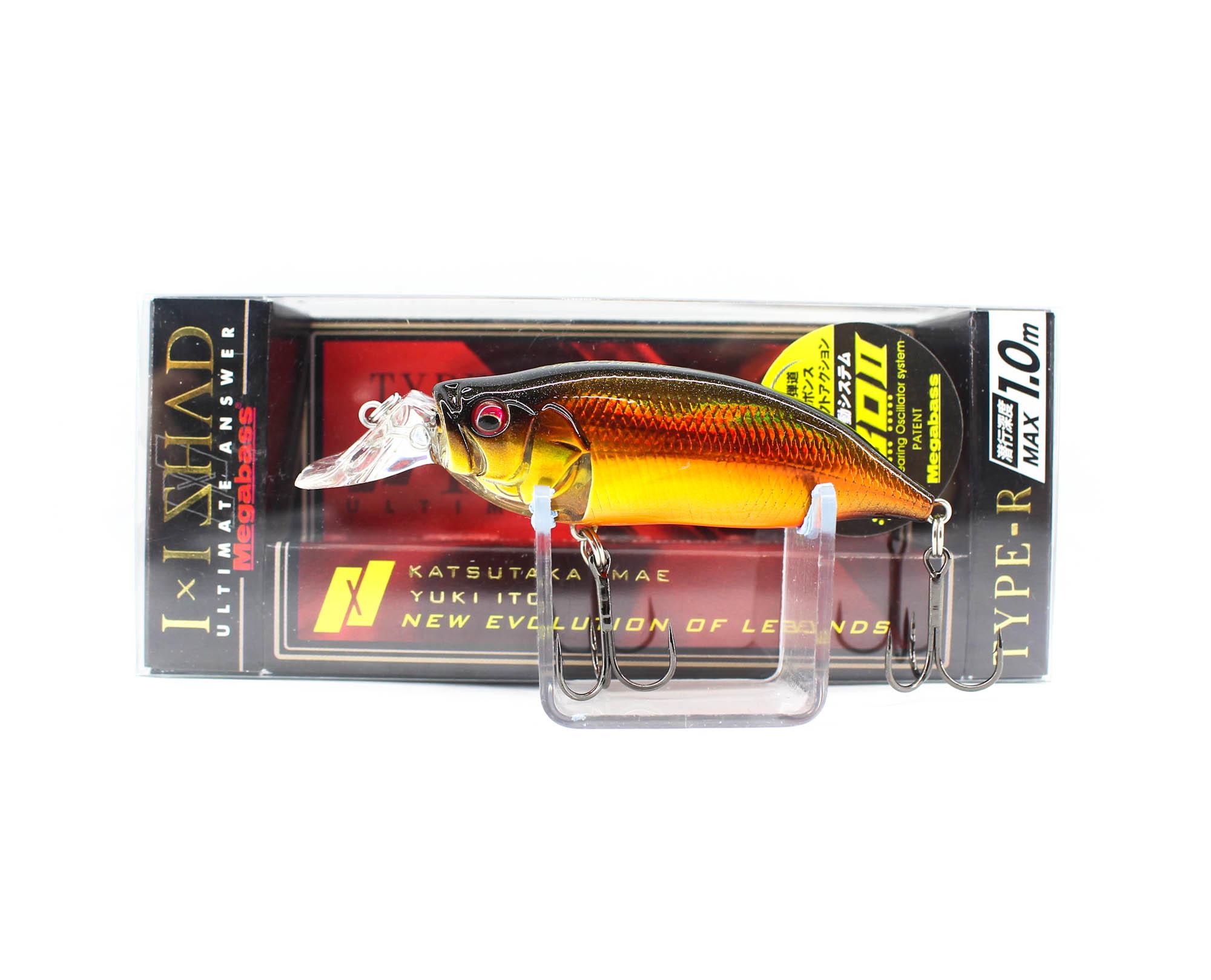 

Плавающая приманка Megabass IXI Shad Type-R 1 м Kasumi Magic (0616)