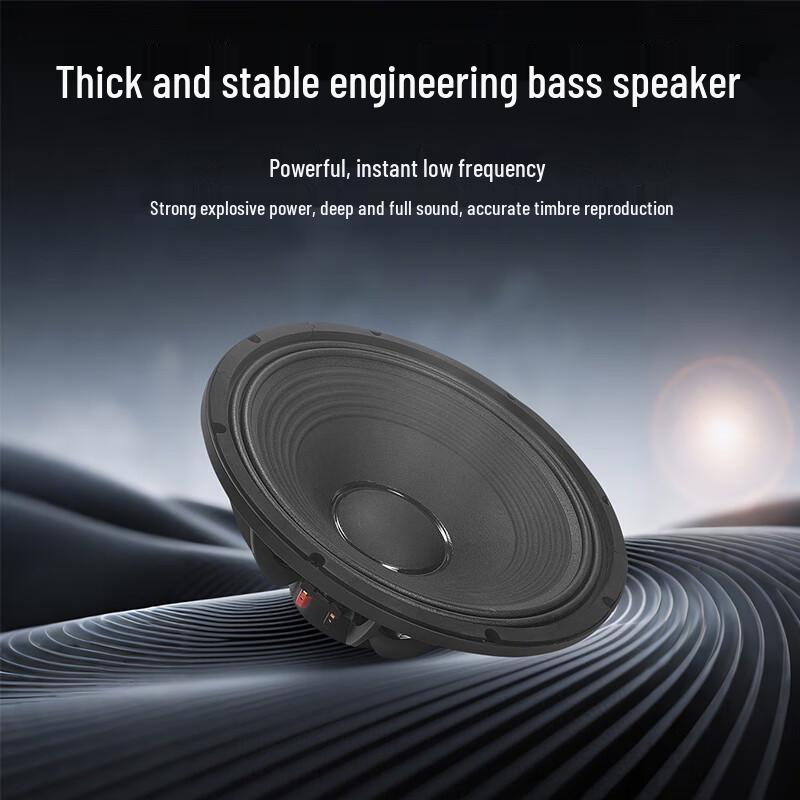 HooSute DW-212 Dual 12-inch Pro Passive Subwoofer (CN Version)