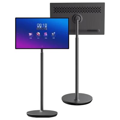 Příslušenství k počítači – Přenosné monitory