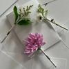 Simple DIY Brooch High-end Corsage Pin Creative Insertable Brooch  Clothing Decoration