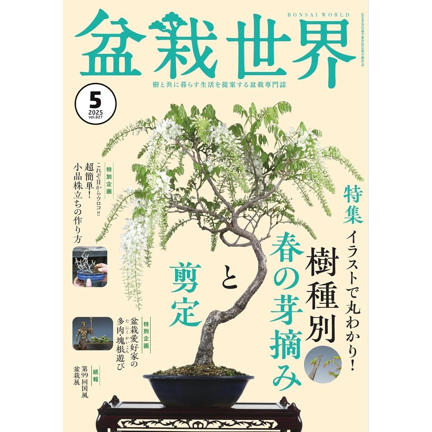 Bonsai World May 2025 Issue ( ) Magazine