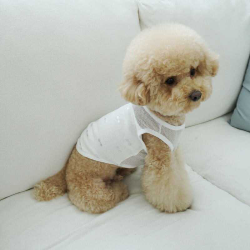Silver Ribbon Homewear _ Dog Clothes L